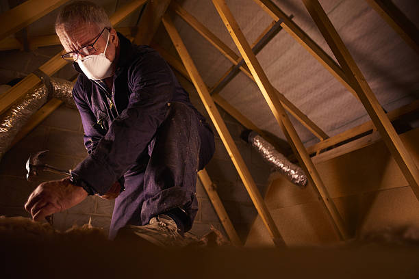 Best Residential Insulation in Midway, AR